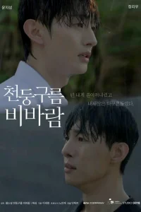 Грозовые тучи, проливные дожди (2025)