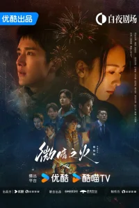 Бледный огонь (2024)