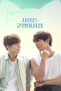 Любовь подобна кошке (2024)