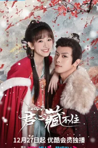 Тайная любовь губернатора (2023)