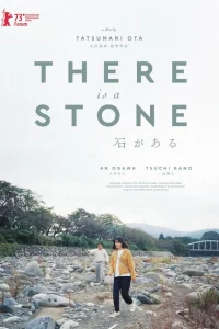 Вот камень (2022)